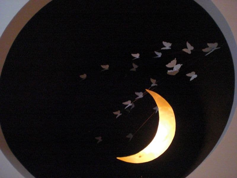 Private cosmetic treatment and recovery room